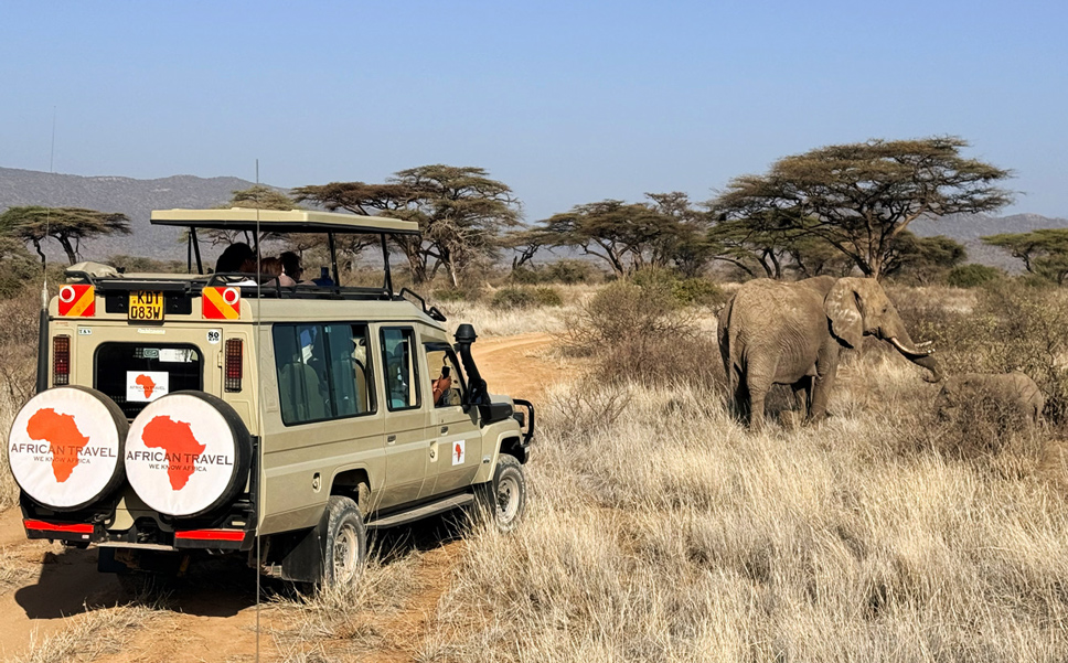 African Travel Inc bespoke safari experience with wildlife